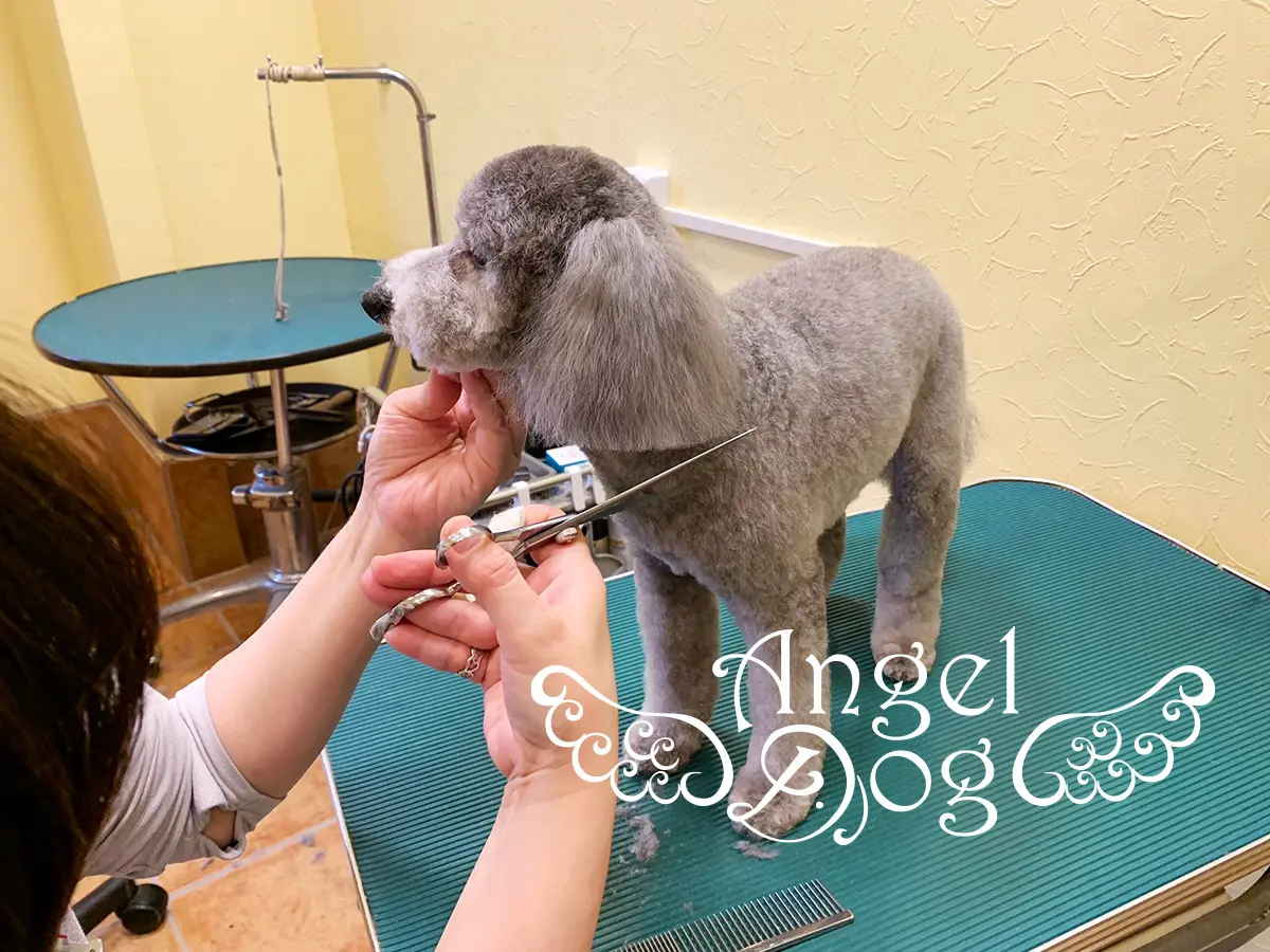 業務内容変更と移転のお知らせ